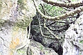 IMG_1723