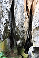 IMG_1724