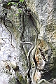 IMG_1725