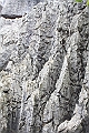 IMG_1726