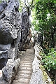 IMG_1733