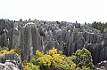 IMG_1739