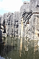 IMG_1757