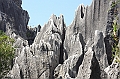 IMG_1770