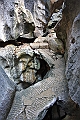 IMG_1780