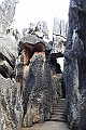 IMG_1782