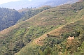 IMG_1820