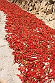 IMG_1825