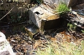 IMG_1828