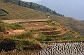 IMG_1829