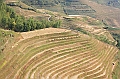 IMG_1843