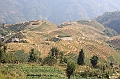 IMG_1851
