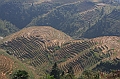 IMG_1853