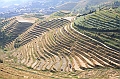 IMG_1859