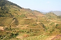 IMG_1860