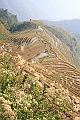 IMG_1862