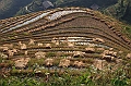 IMG_1863