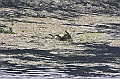 IMG_1873