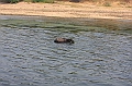 IMG_1878