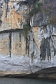 IMG_1895