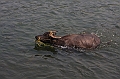 IMG_1902