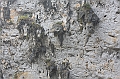 IMG_1917