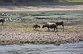 IMG_1934