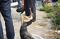 IMG_1967