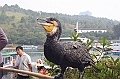 IMG_1969