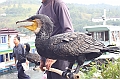 IMG_1970