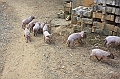 IMG_2011