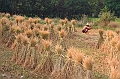 IMG_2079
