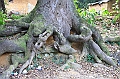 IMG_2080