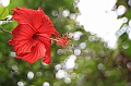 IMG_2106