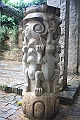 IMG_2169