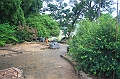 IMG_2190