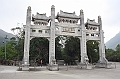 IMG_2241