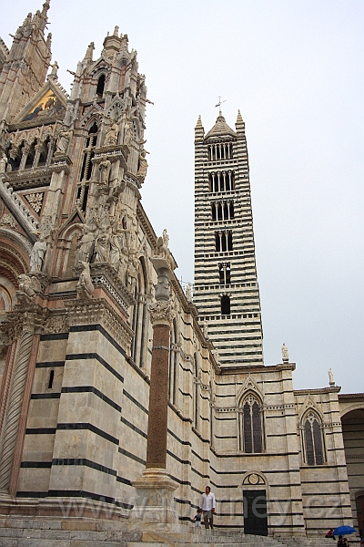 IMG_2905.JPG