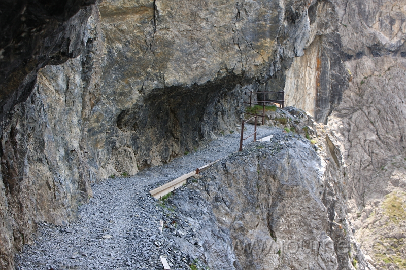IMG_4620.JPG