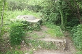 IMG_4466