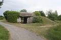 IMG_4471