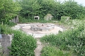 IMG_4481
