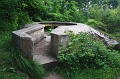 IMG_4489