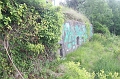 IMG_4505