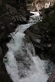 IMG_4577