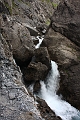 IMG_4631