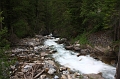 IMG_4644