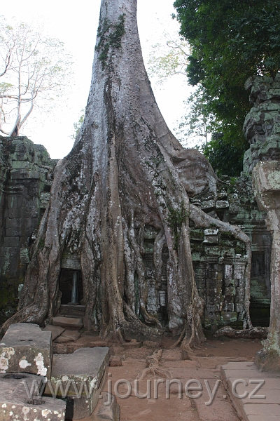 IMG_5938.JPG