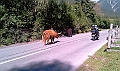 IMAG0033