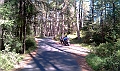 IMAG0040